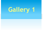 Gallery 1