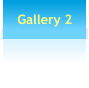 Gallery 2